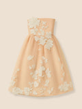 Blush Pink Gown with White Floral Lace Embroidery, 18 Inch Doll Outfit— The Sofia